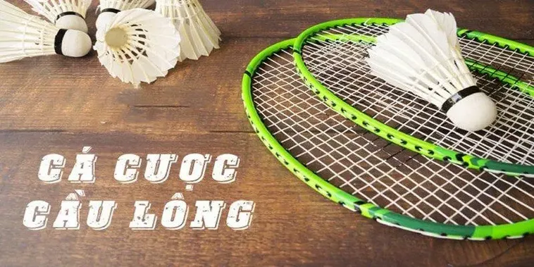 Cách Chơi Cá Cược Cầu Lông Tại KG88 Chuẩn Xác Và Hiệu Quả Nhất