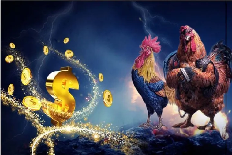 Chơi Đá Gà KG88 Uy Tín Nhất Hiện Nay – Cơ Hội Thắng Lớn