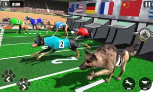 Cách Chơi Game Nhanh Đua Chó Tại KG88 Hiệu Quả, Dễ Trúng Thưởng