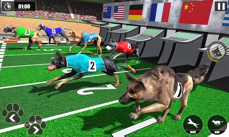 Cách Chơi Game Nhanh Đua Chó Tại KG88 Hiệu Quả, Dễ Trúng Thưởng