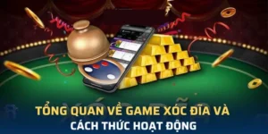 Trải Nghiệm Trò Chơi Xóc Đĩa Tại KG88 Với Tỷ Lệ Thắng Cao